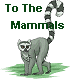 The Mammals Home Page